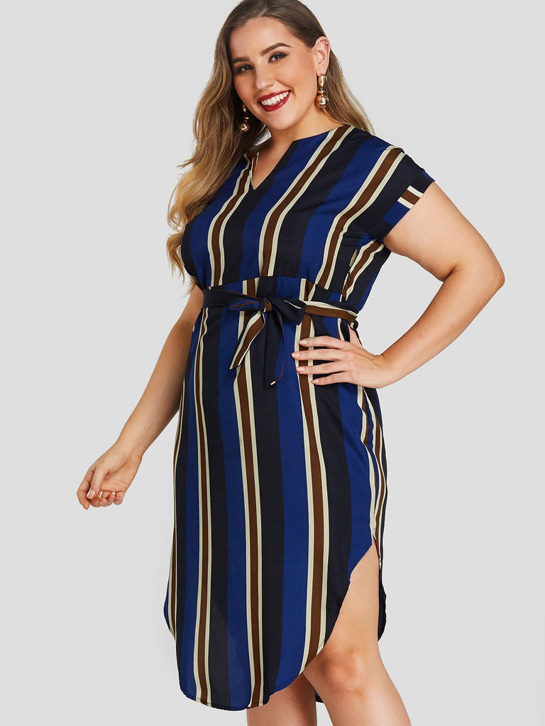 Ladies V-Neck Plus Size Dress