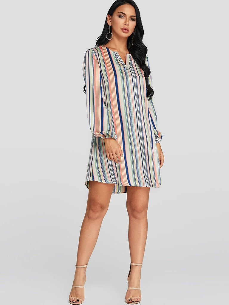 Womens Long Sleeve Mini Dress