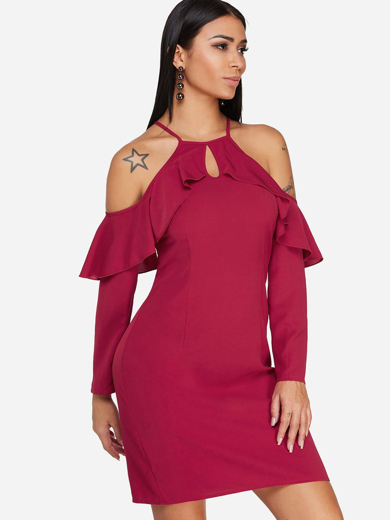 Ladies Long Sleeve Sexy Dresses