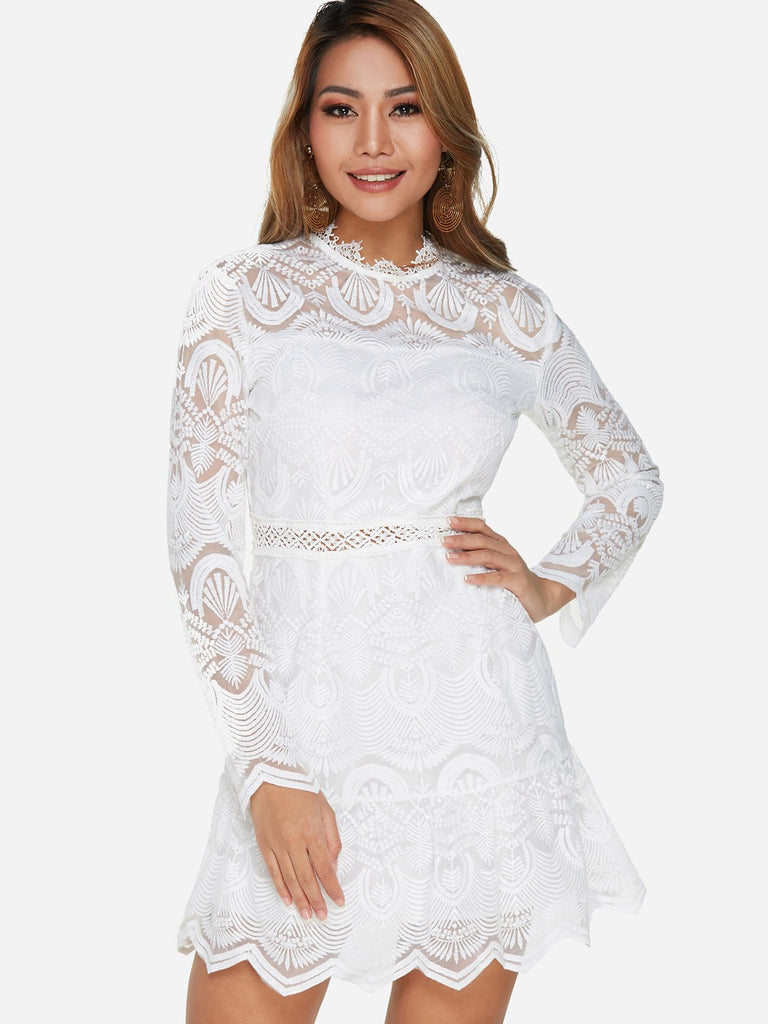 Crew Neck Lace Zip Back Hollow Long Sleeve White Sexy Dresses