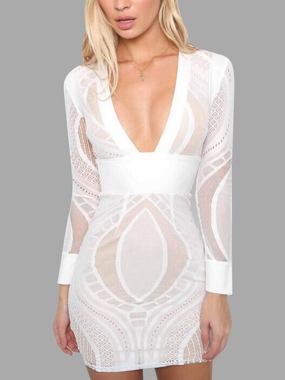 White Deep V Neck Long Sleeve Sheer Lace Zip Back Hollow Dress