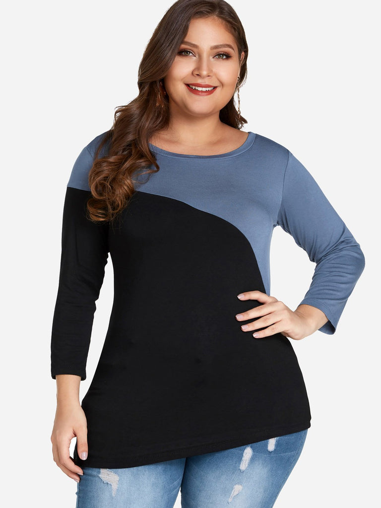 Round Neck Plain Long Sleeve Curved Hem Plus Size Tops