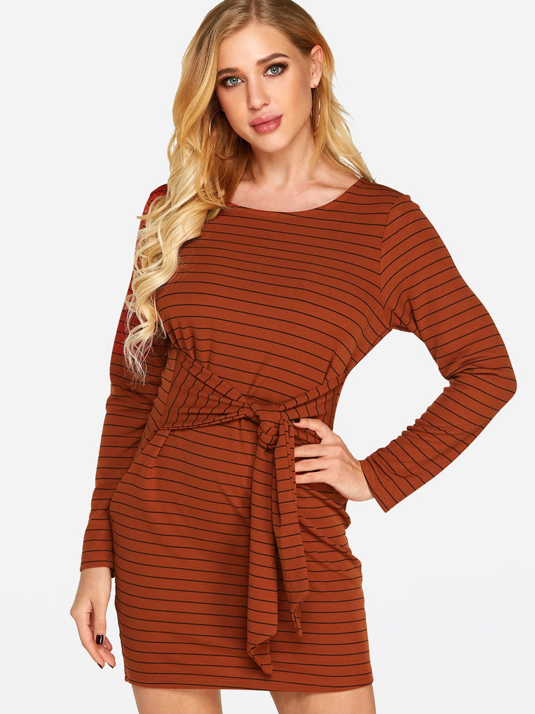 Ladies Long Sleeve Casual Dress